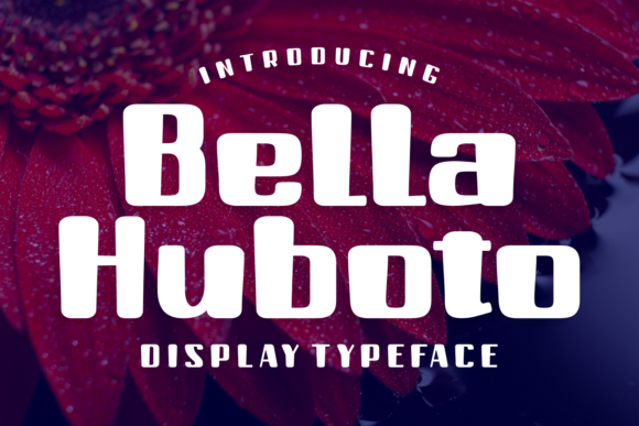 Bella Huboto: A Rounded Display Font for Modern Editorial Design