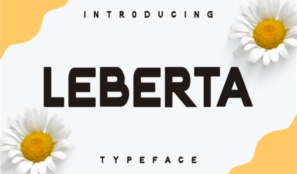 Leberta: A Stylish Display Font That Makes Branding Stand Out